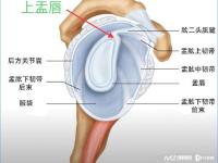 奥运引爆羽毛球热潮 医生提醒：警惕“扣杀”诱发关节受伤