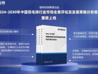 中国羽毛球行业发展环境、市场运行态势及投资潜力分析报告（2024版）