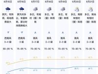 @宝安人周末去哪儿 | “林丹杯”羽毛球赛、向日葵花海、咖啡鉴赏……约起来！