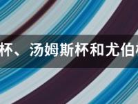 苏迪曼杯、汤姆斯杯和尤伯杯的由来？