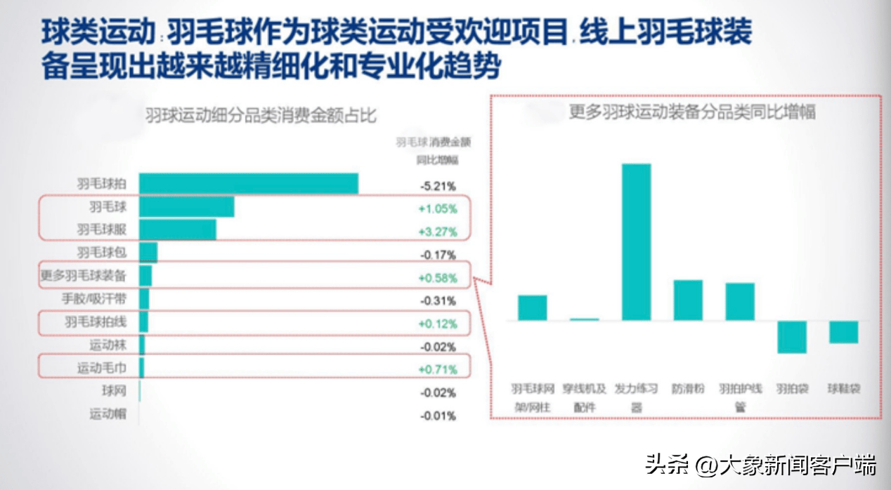 供不应“球”！羽毛球集体涨价背后|大象深度